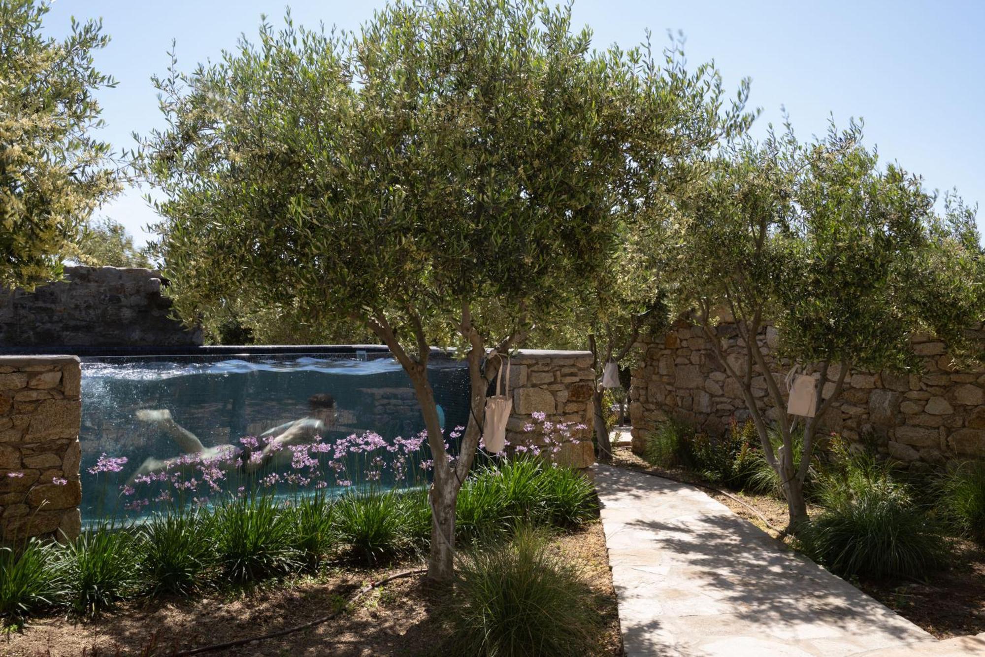 Mykonos Town Ikies Of Mykonos B&B 외부 사진
